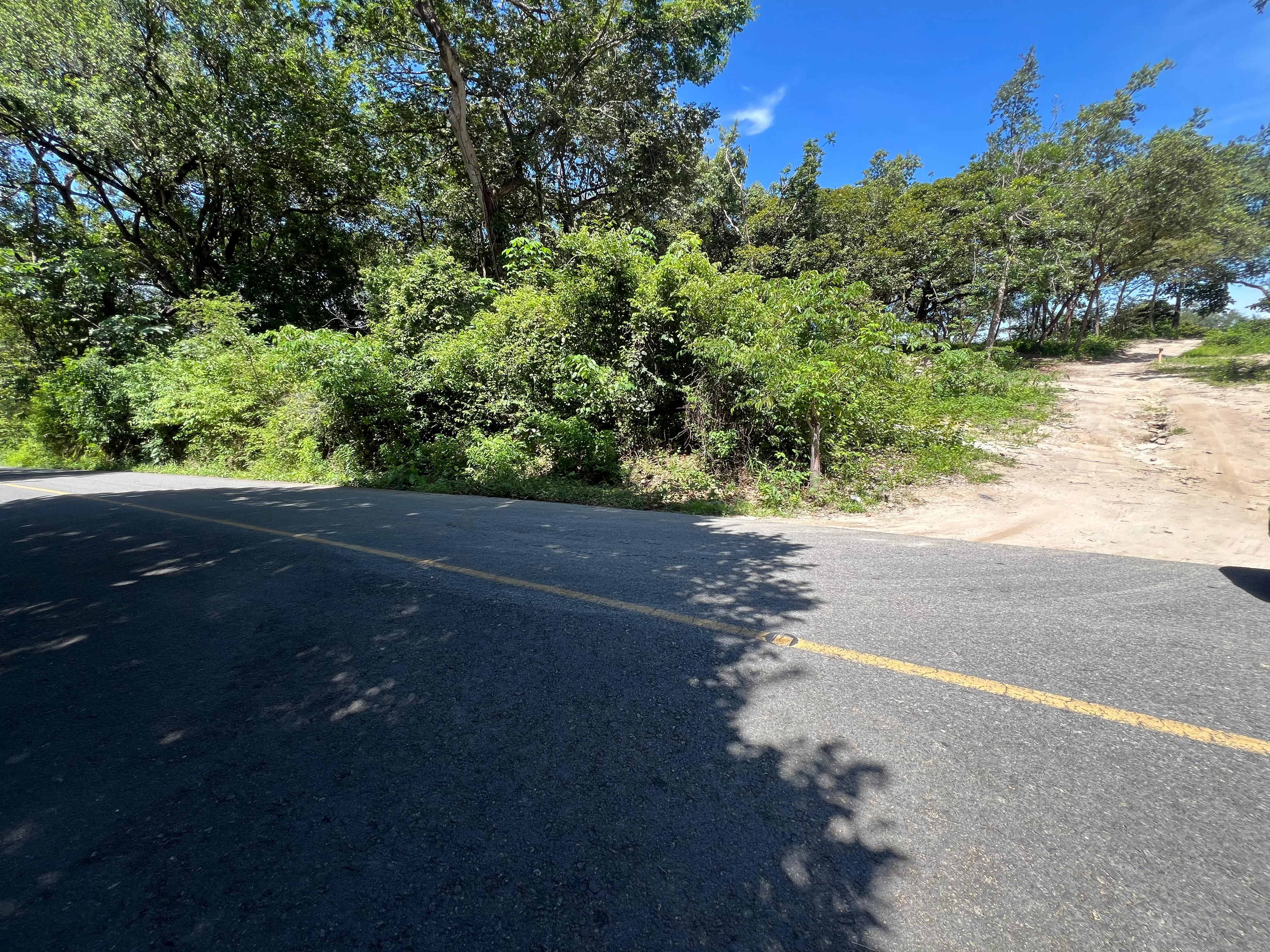 Proyecto la Ponderosa lote # 19