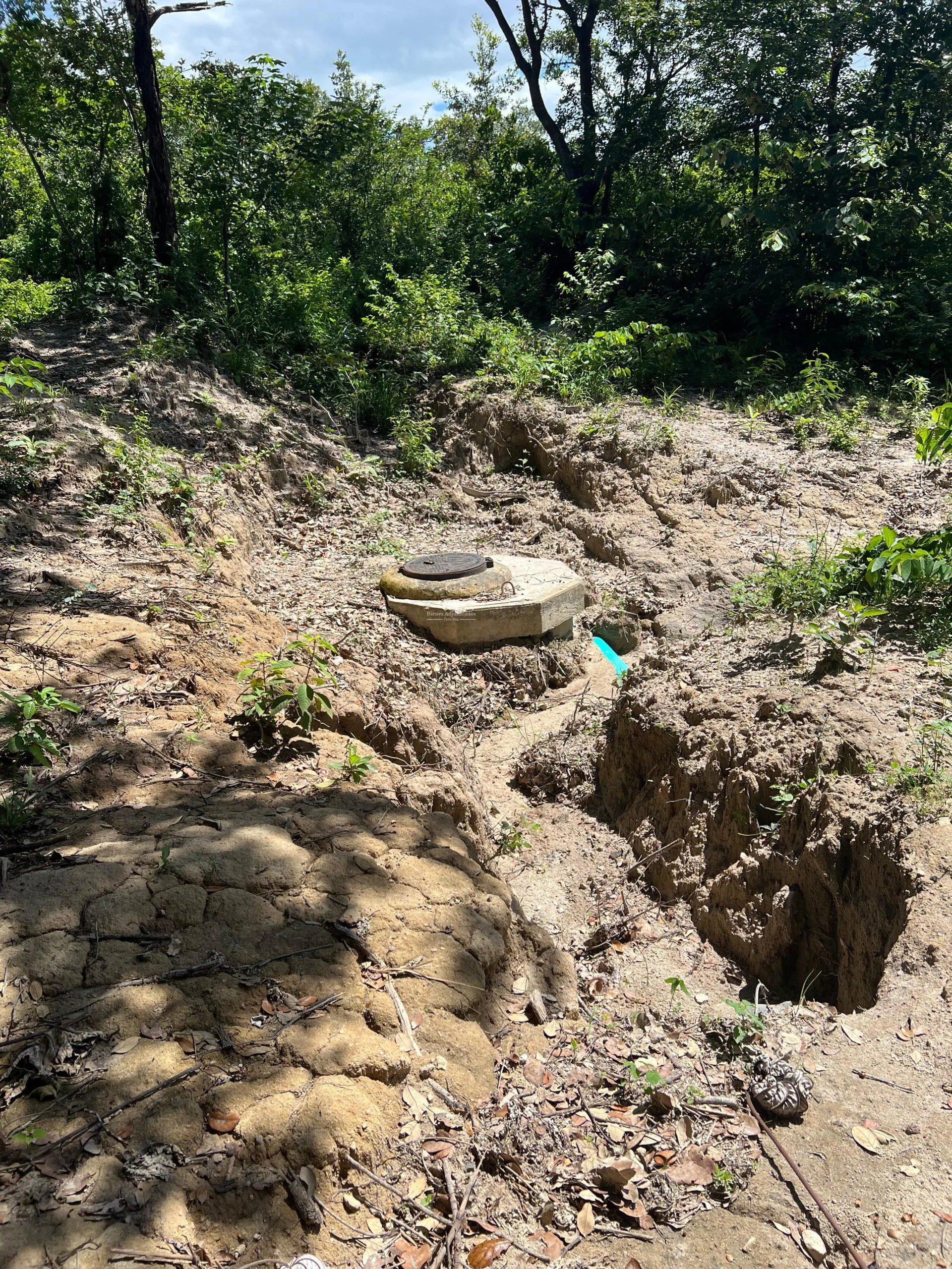 Proyecto la Ponderosa lote # 19