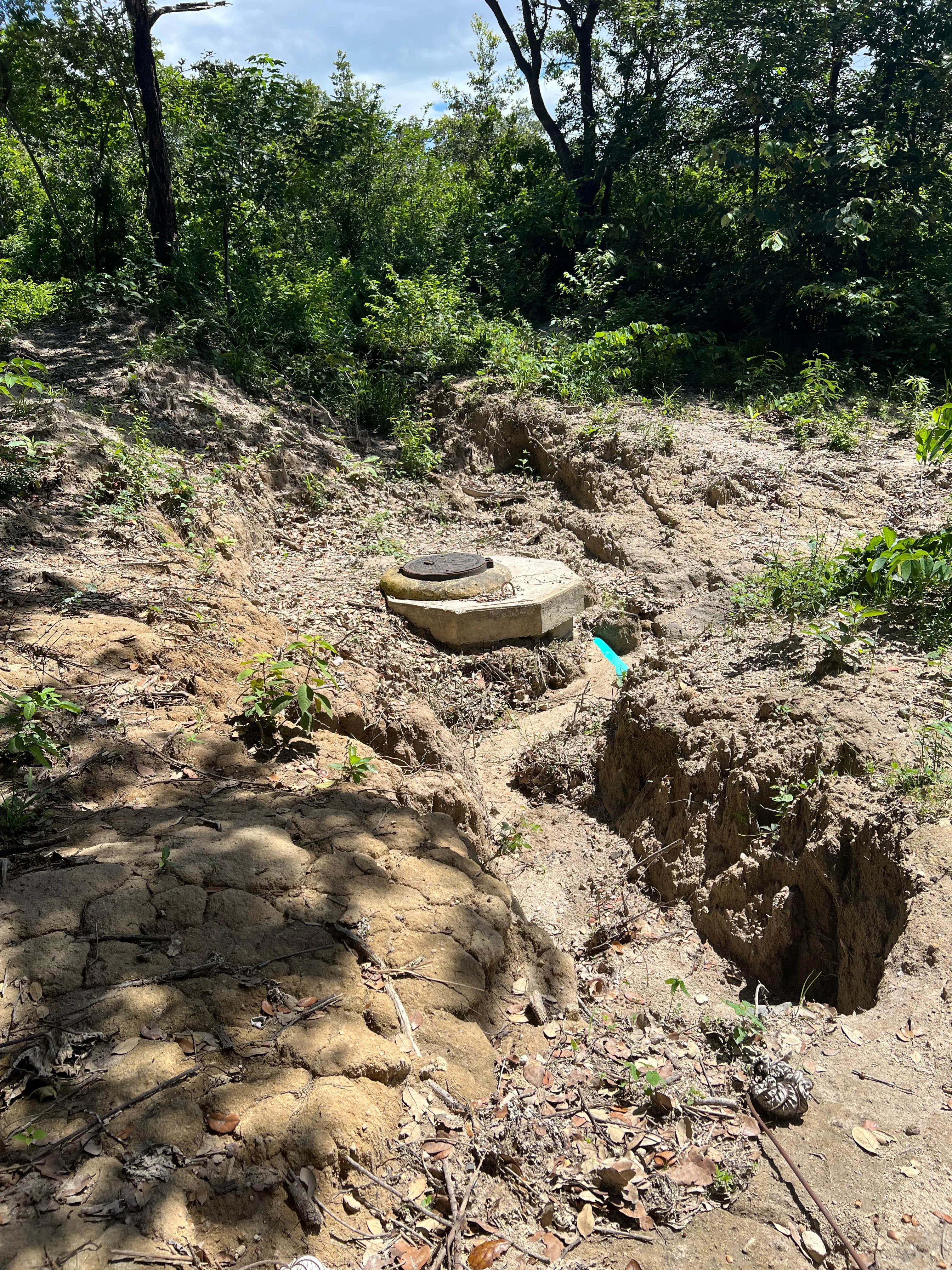Proyecto la Ponderosa lote # 19