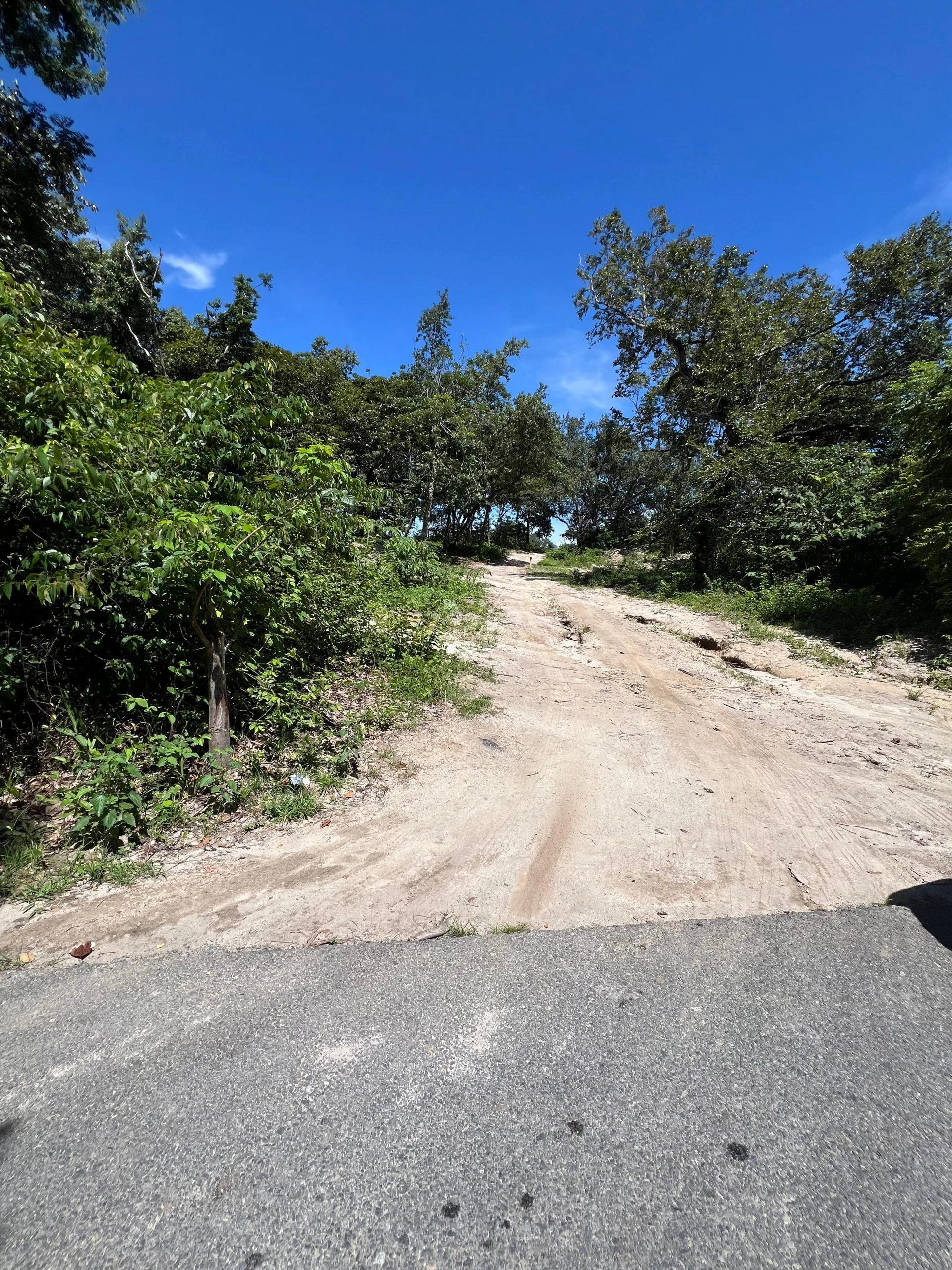 Proyecto la Ponderosa lote # 19