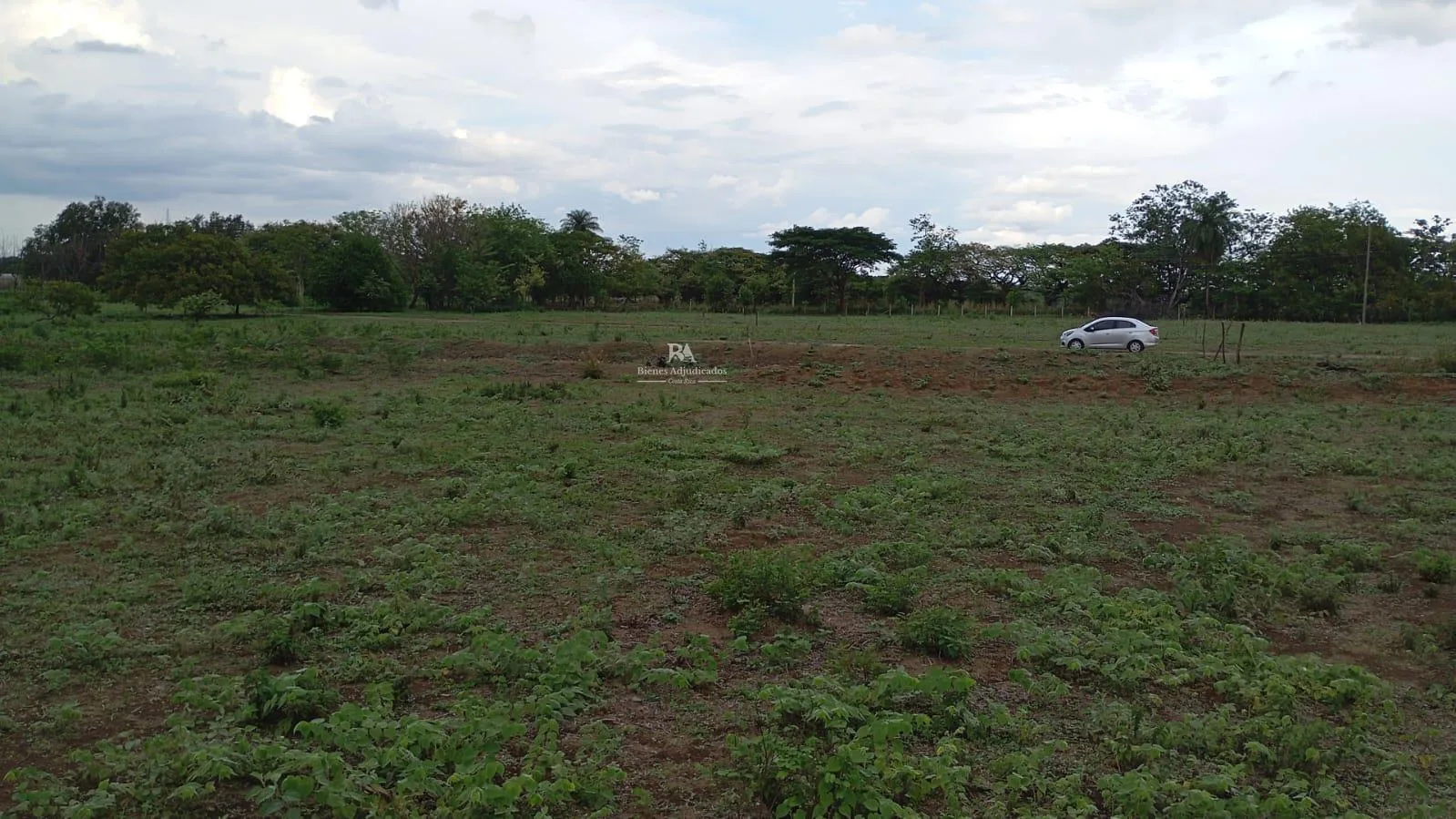 Proyecto la Ponderosa lote # 19