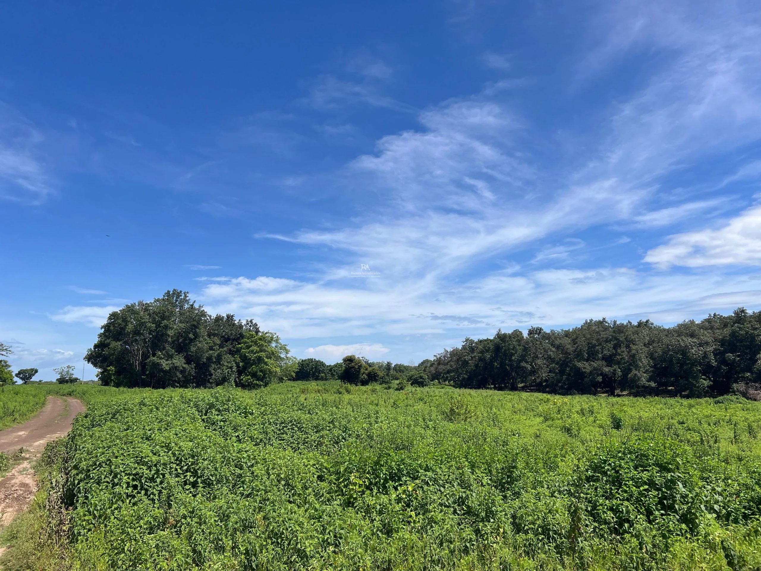 Proyecto la Ponderosa lote # 19