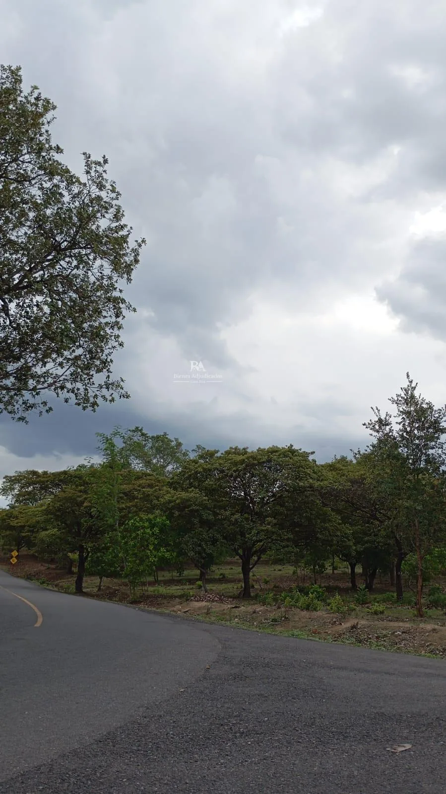 Proyecto la Ponderosa Lote 53A-1