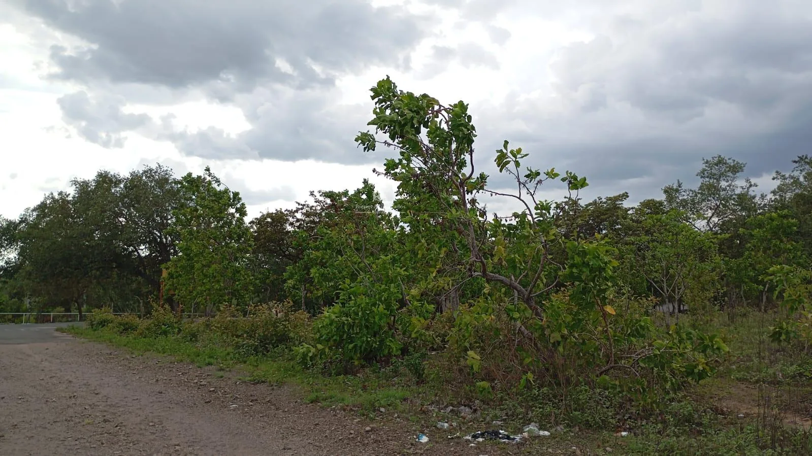 Proyecto la Ponderosa Lote 53A-1
