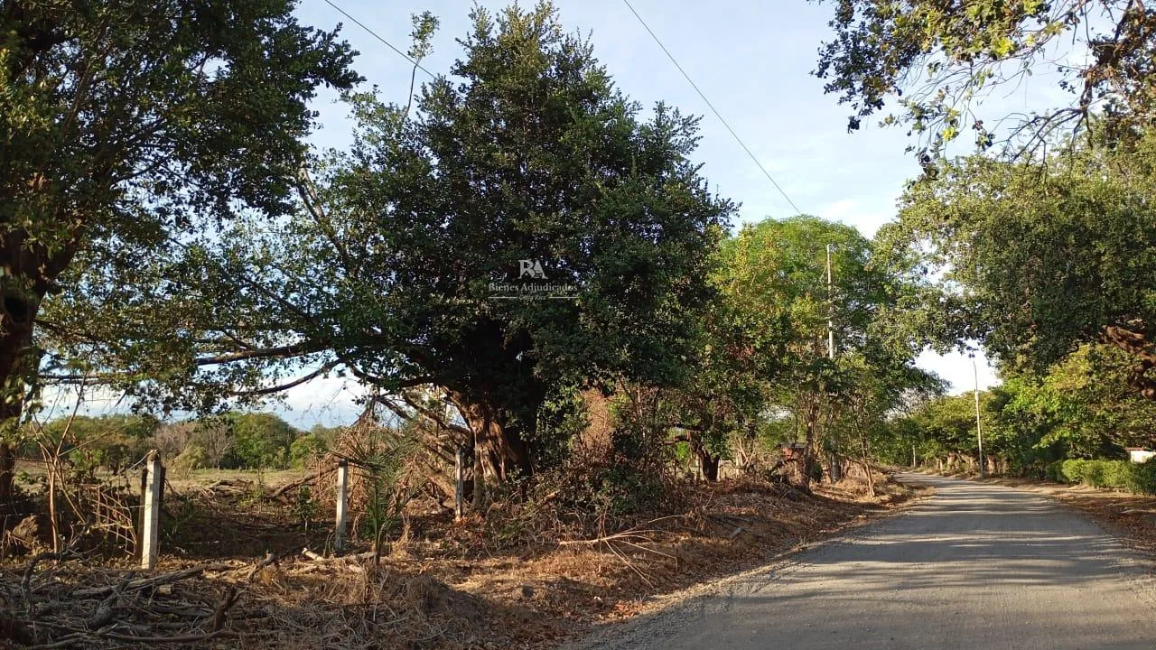Proyecto la Ponderosa Lote 58A-5