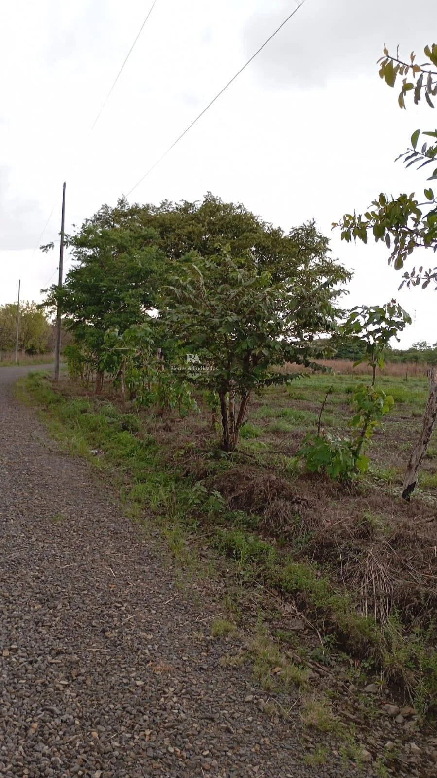 Proyecto la Ponderosa Lote F2