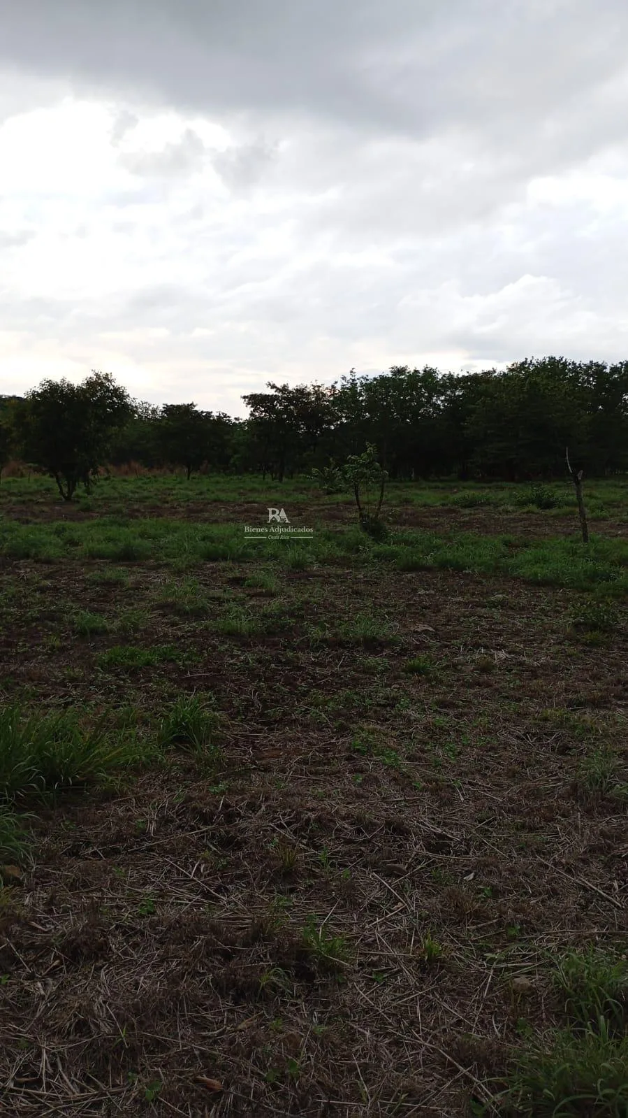 Proyecto la Ponderosa Lote G2