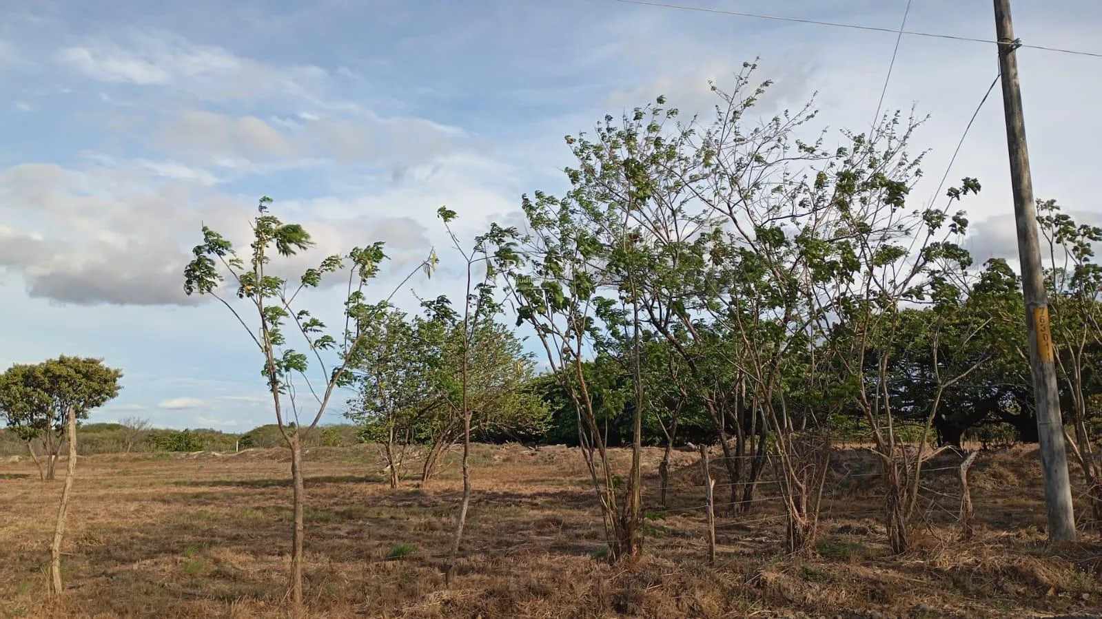 Proyecto la Ponderosa Lote G3