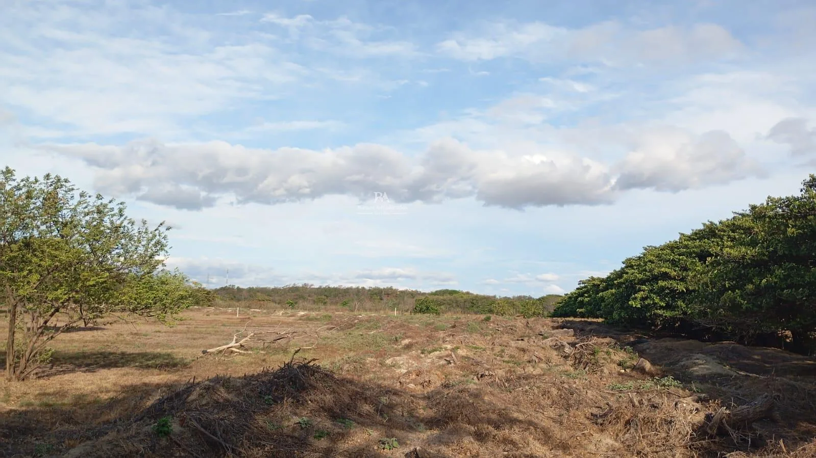Proyecto la Ponderosa Lote G3