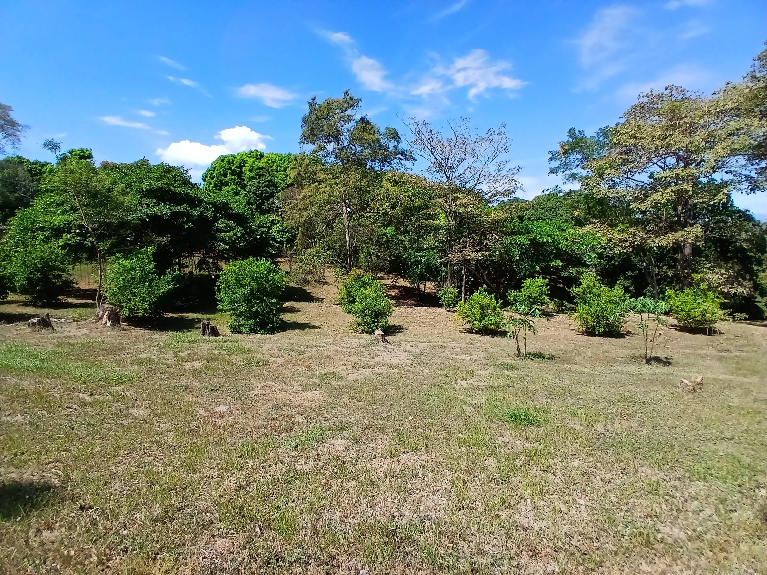 QUINTA EN LA GUACIMO DE OROTINA