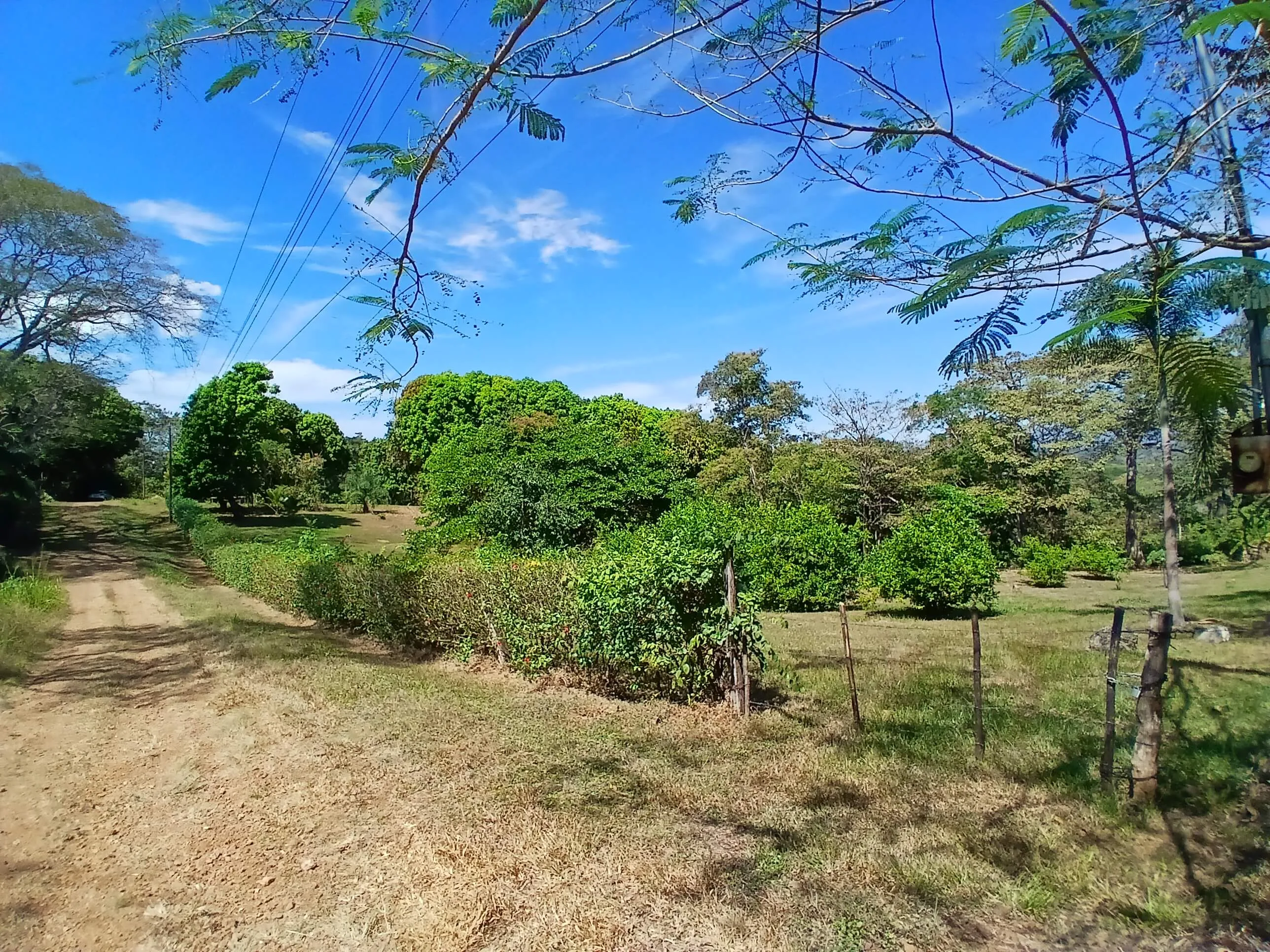 QUINTA EN LA GUACIMO DE OROTINA