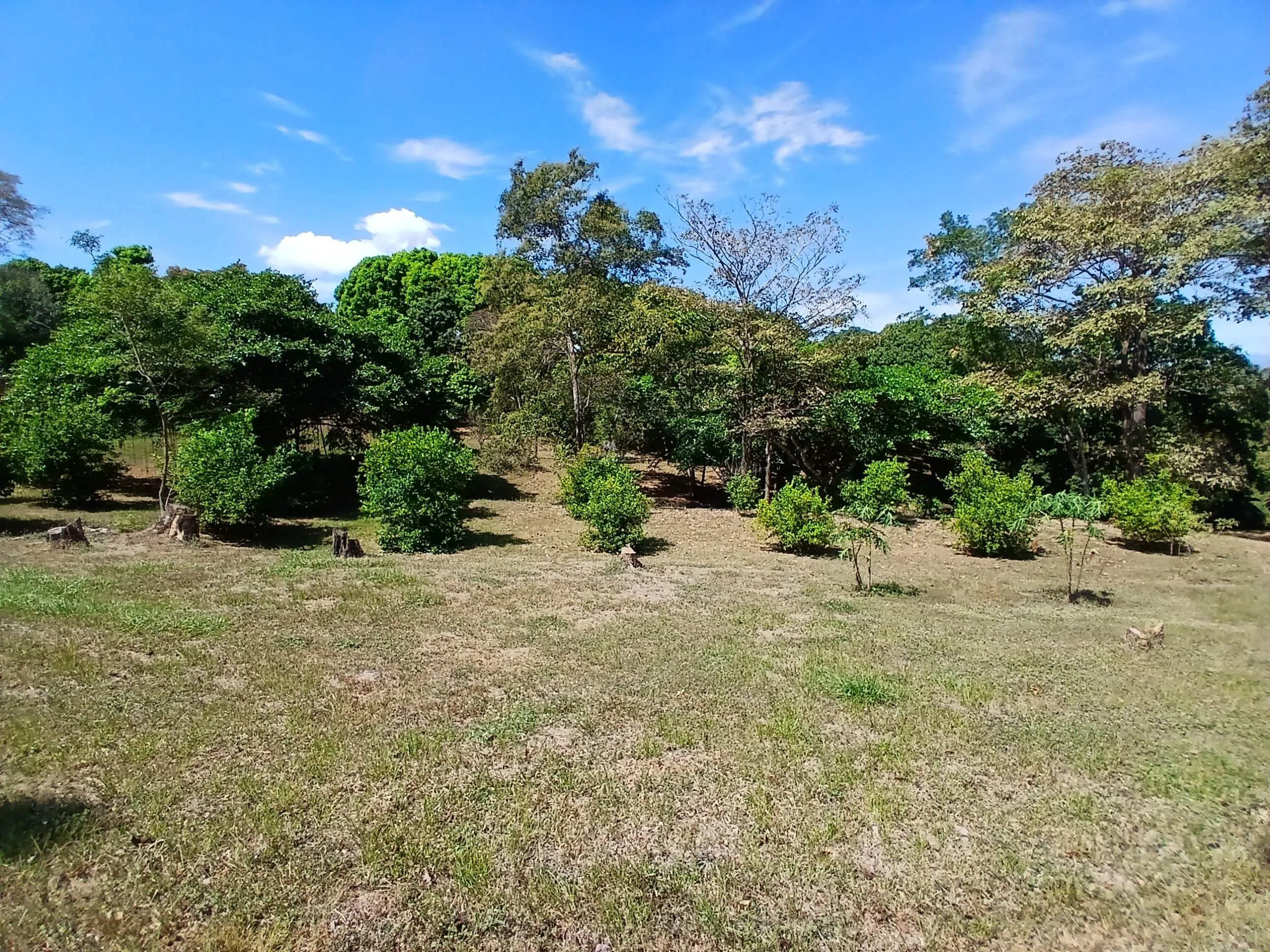 QUINTA EN LA GUACIMO DE OROTINA