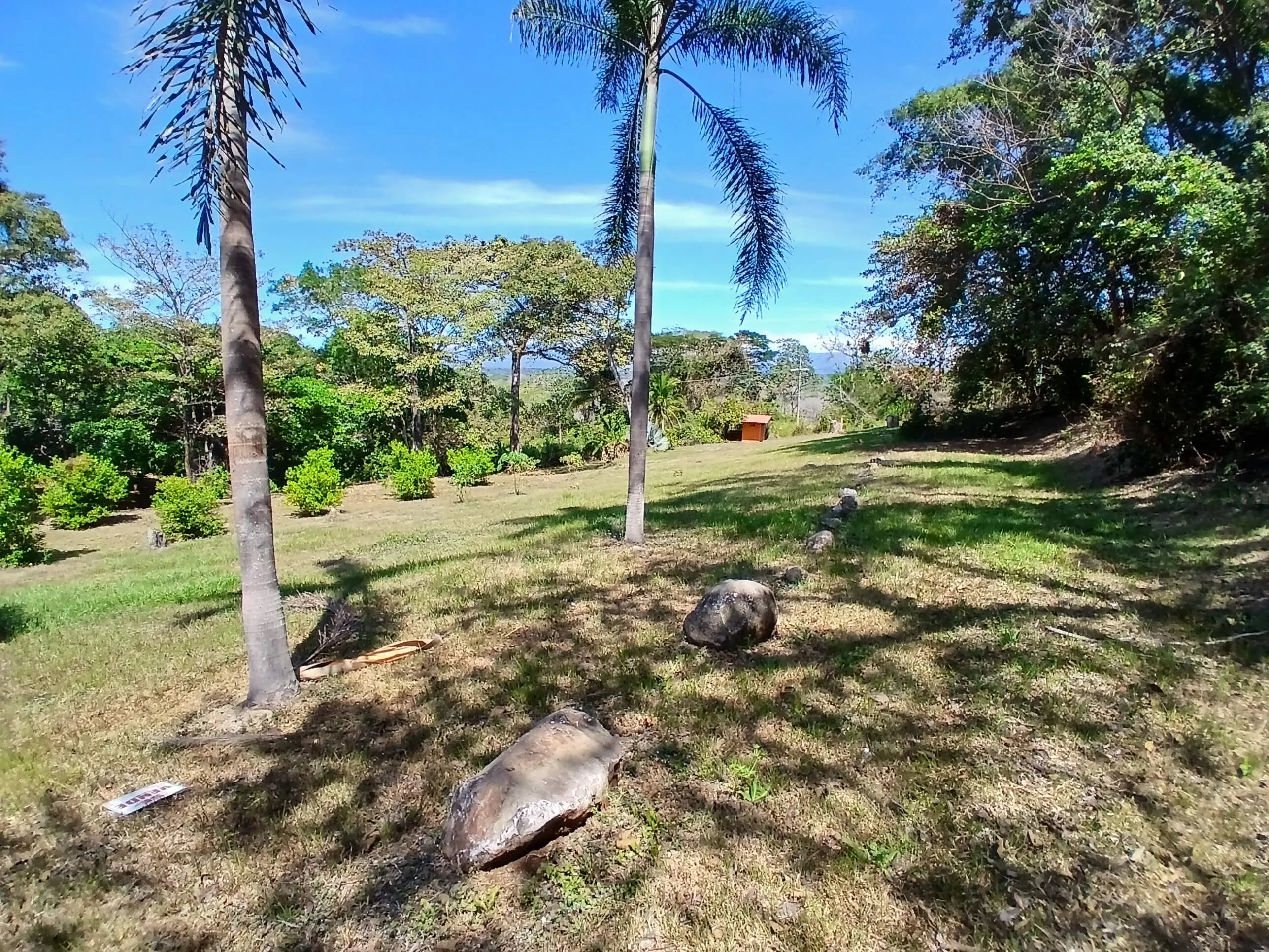 QUINTA EN LA GUACIMO DE OROTINA