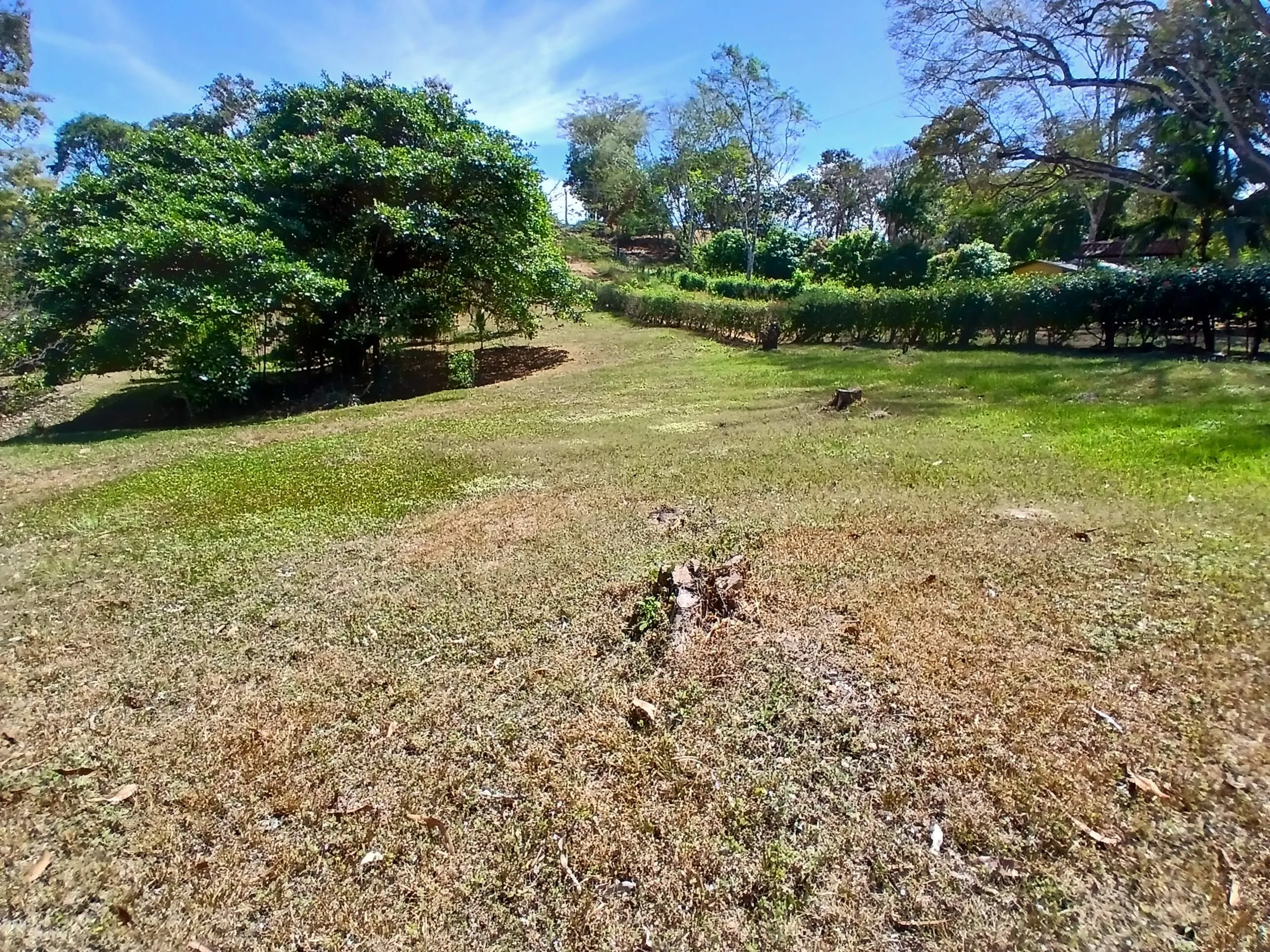 QUINTA EN LA GUACIMO DE OROTINA