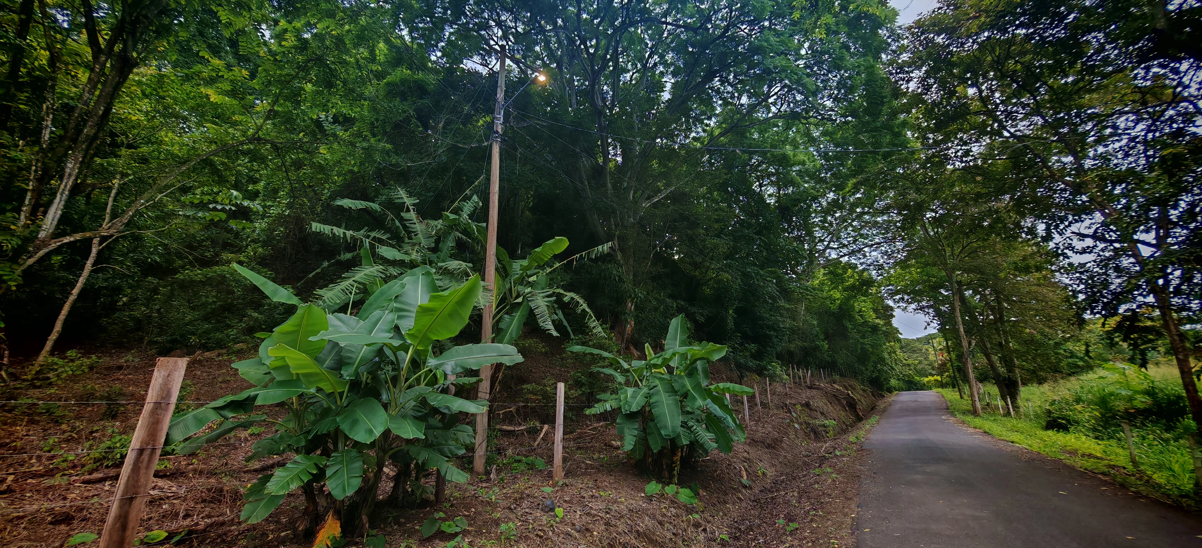 Terreno Alajuela Atenas