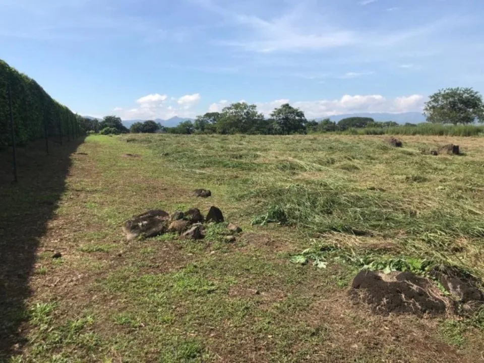 Terreno Alajuela El Coyol
