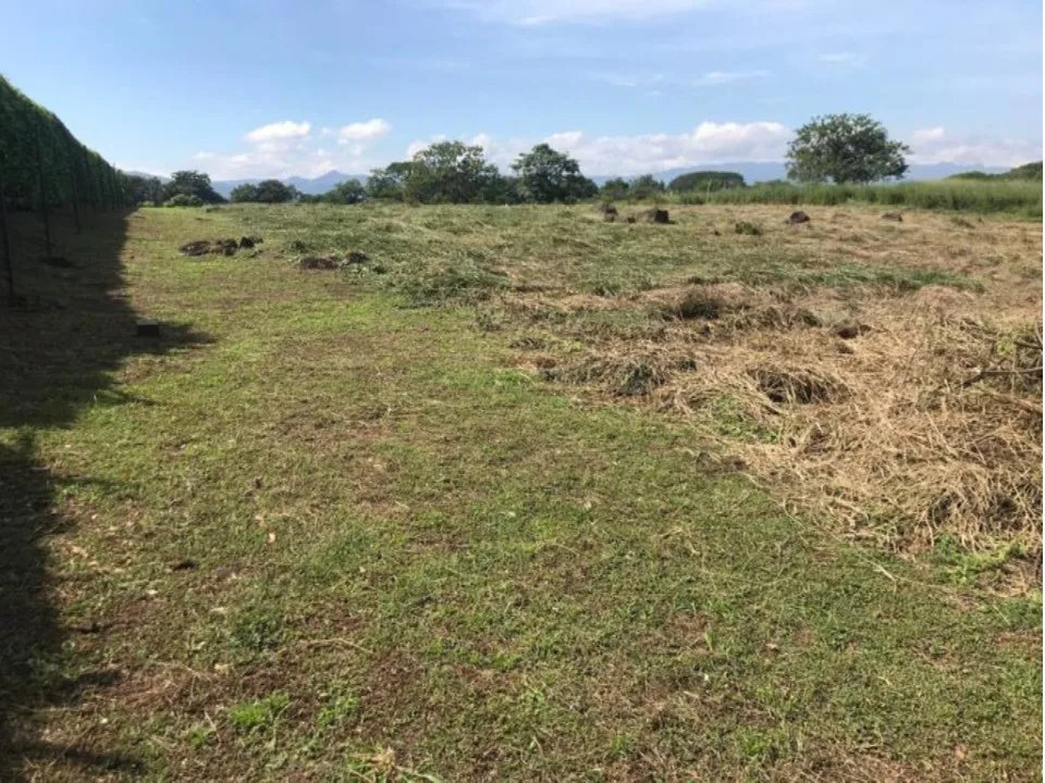 Terreno Alajuela El Coyol