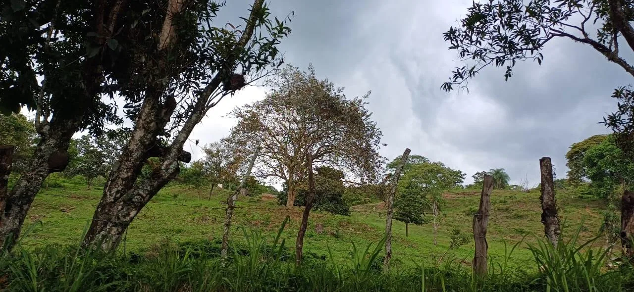 Terreno Alajuela Turrucares