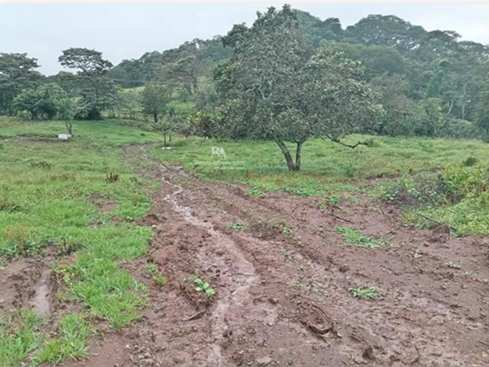 Terreno Alajuela Turrucares