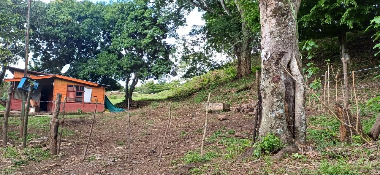 Terreno Alajuela Turrucares