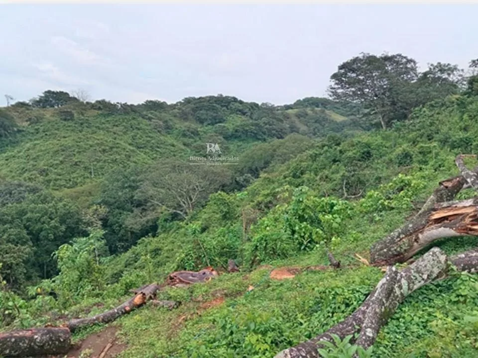 Terreno Alajuela Turrucares