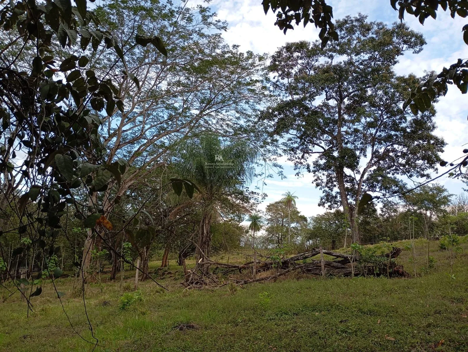 Terreno en Abangares Guanacaste