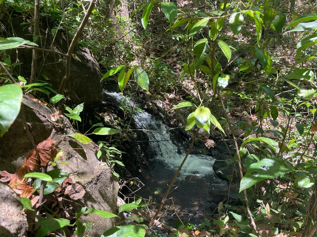 Terreno en Bagaces Guanacaste