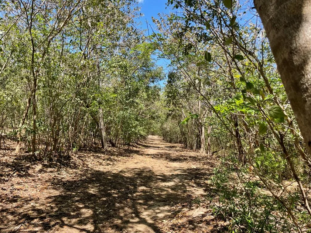 Terreno en Bagaces Guanacaste