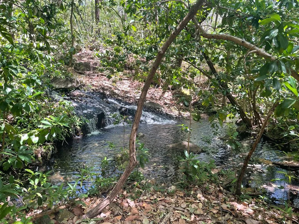 Terreno en Bagaces Guanacaste