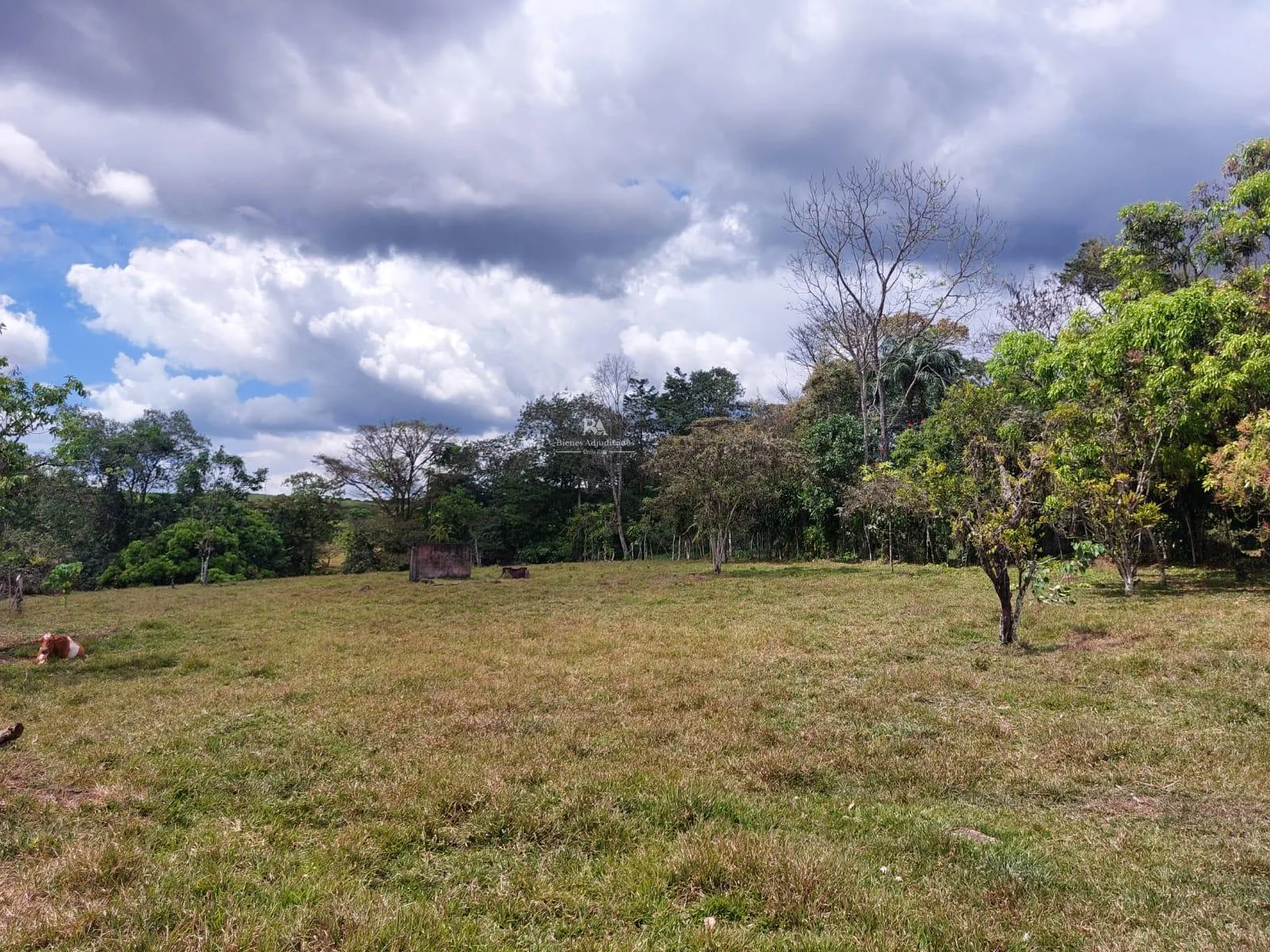 Terreno en Buenos Aires