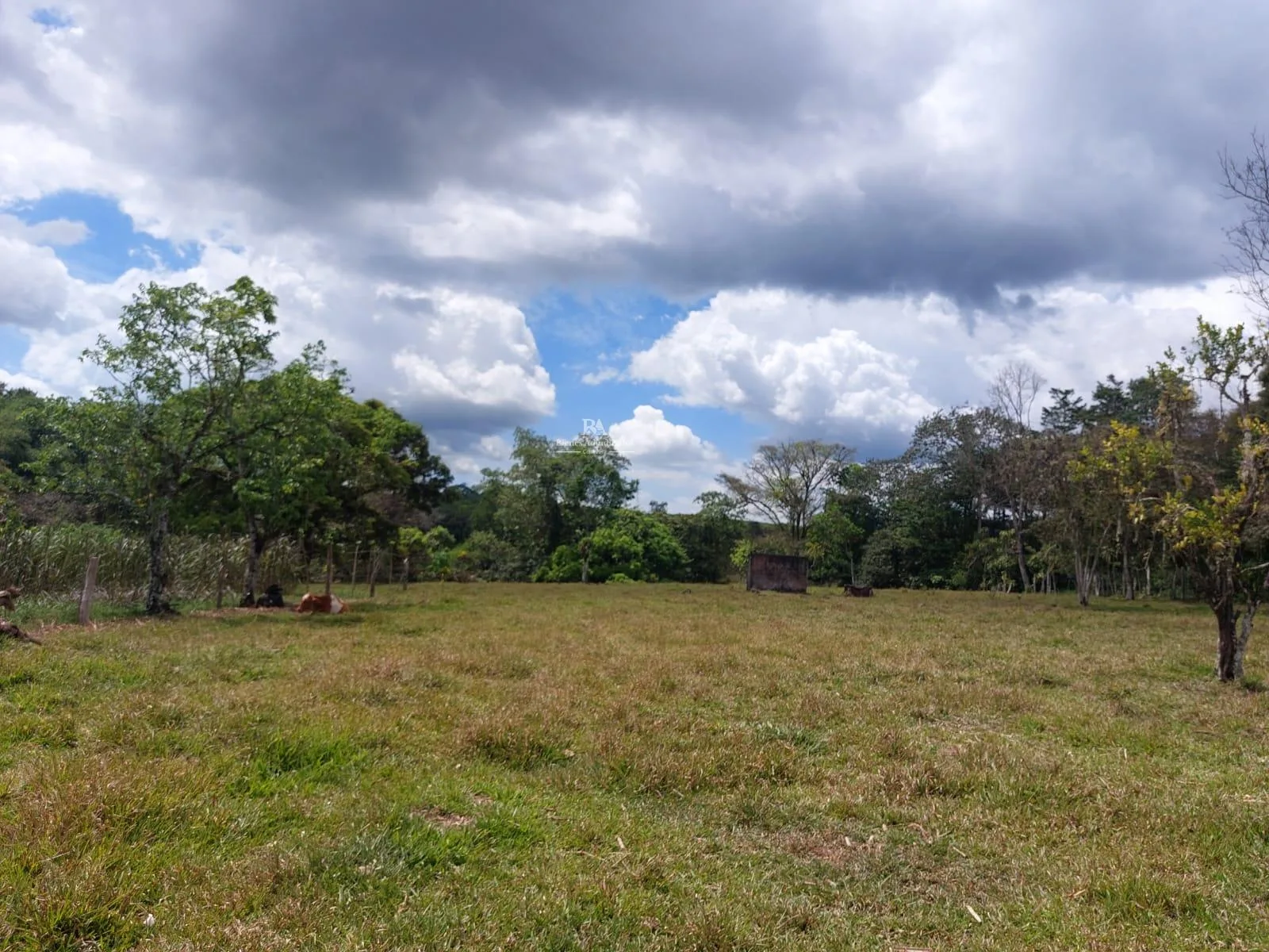 Terreno en Buenos Aires