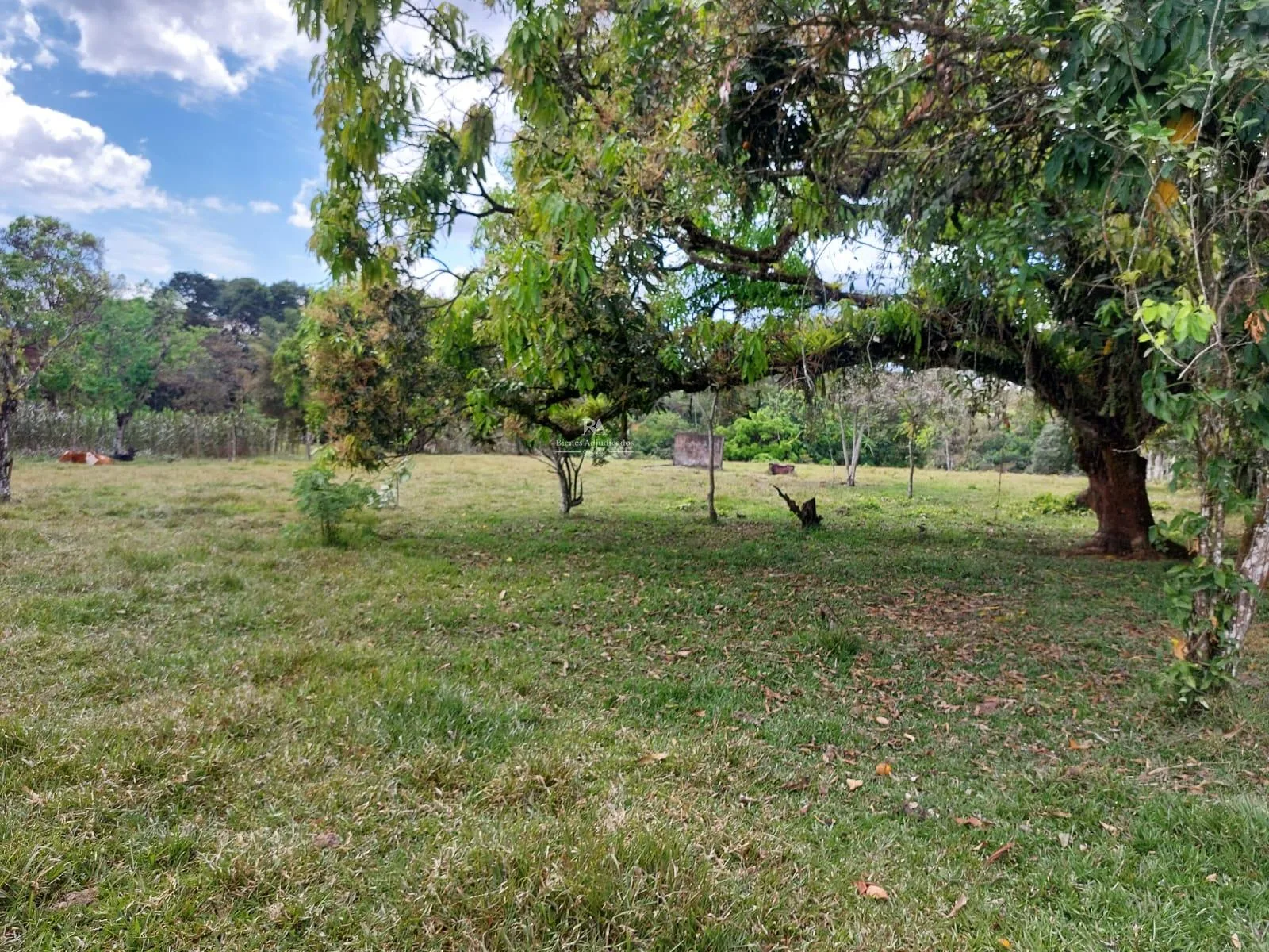 Terreno en Buenos Aires