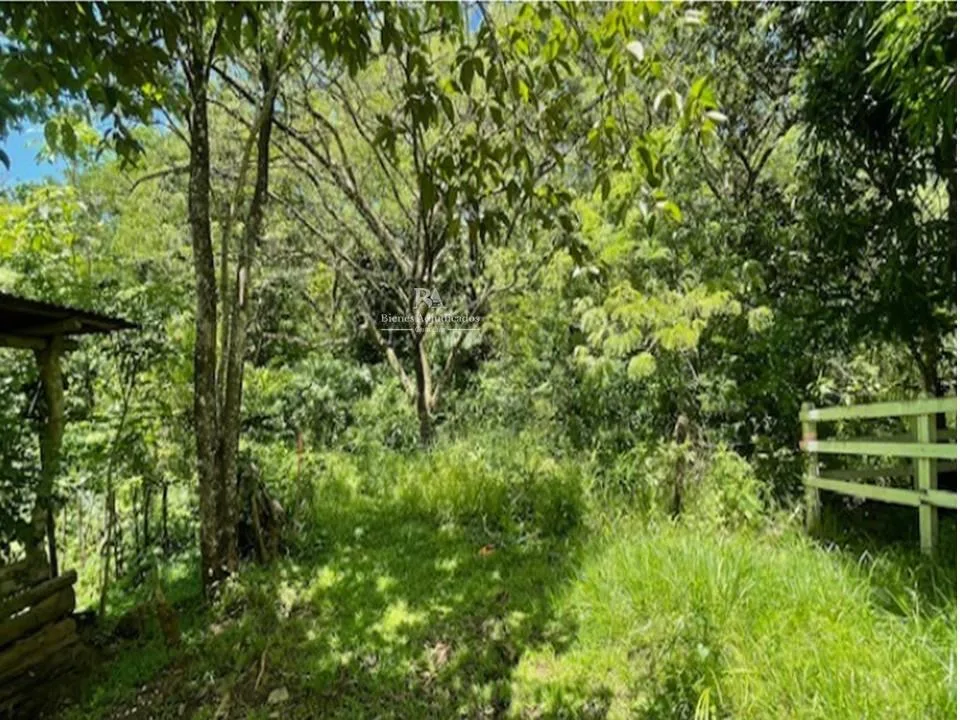 Terreno en Hojancha Guanacaste