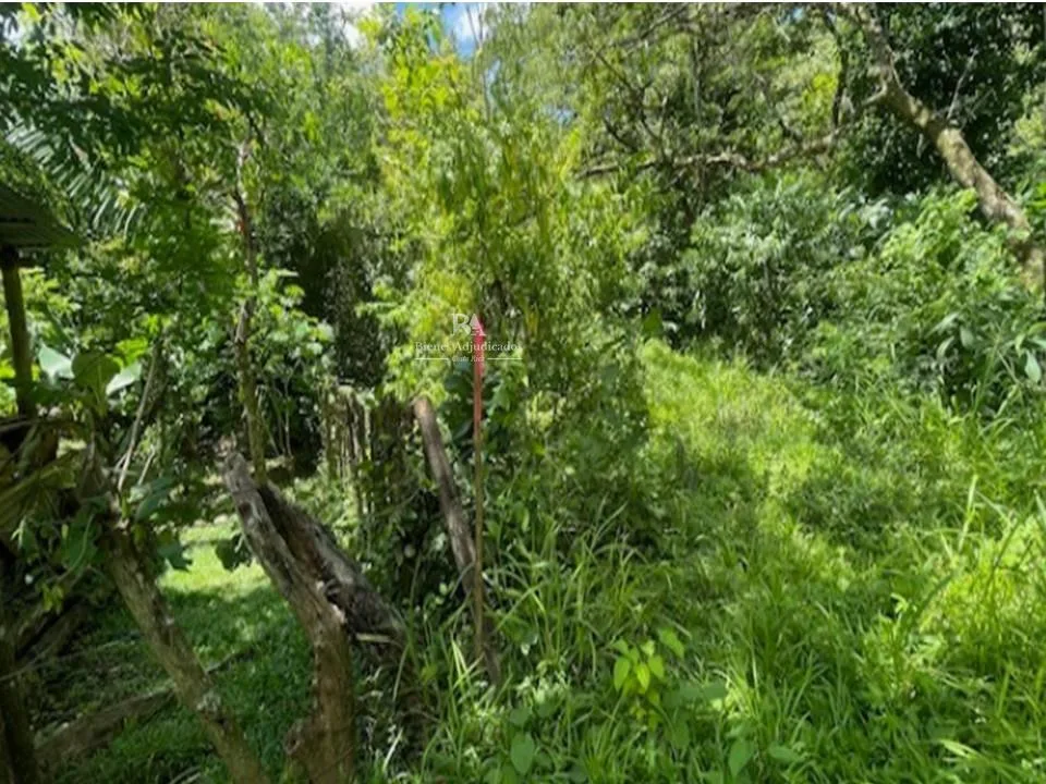 Terreno en Hojancha Guanacaste