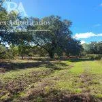Terreno en la Ponderosa