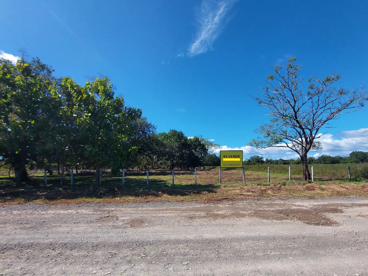 Terreno en la Ponderosa