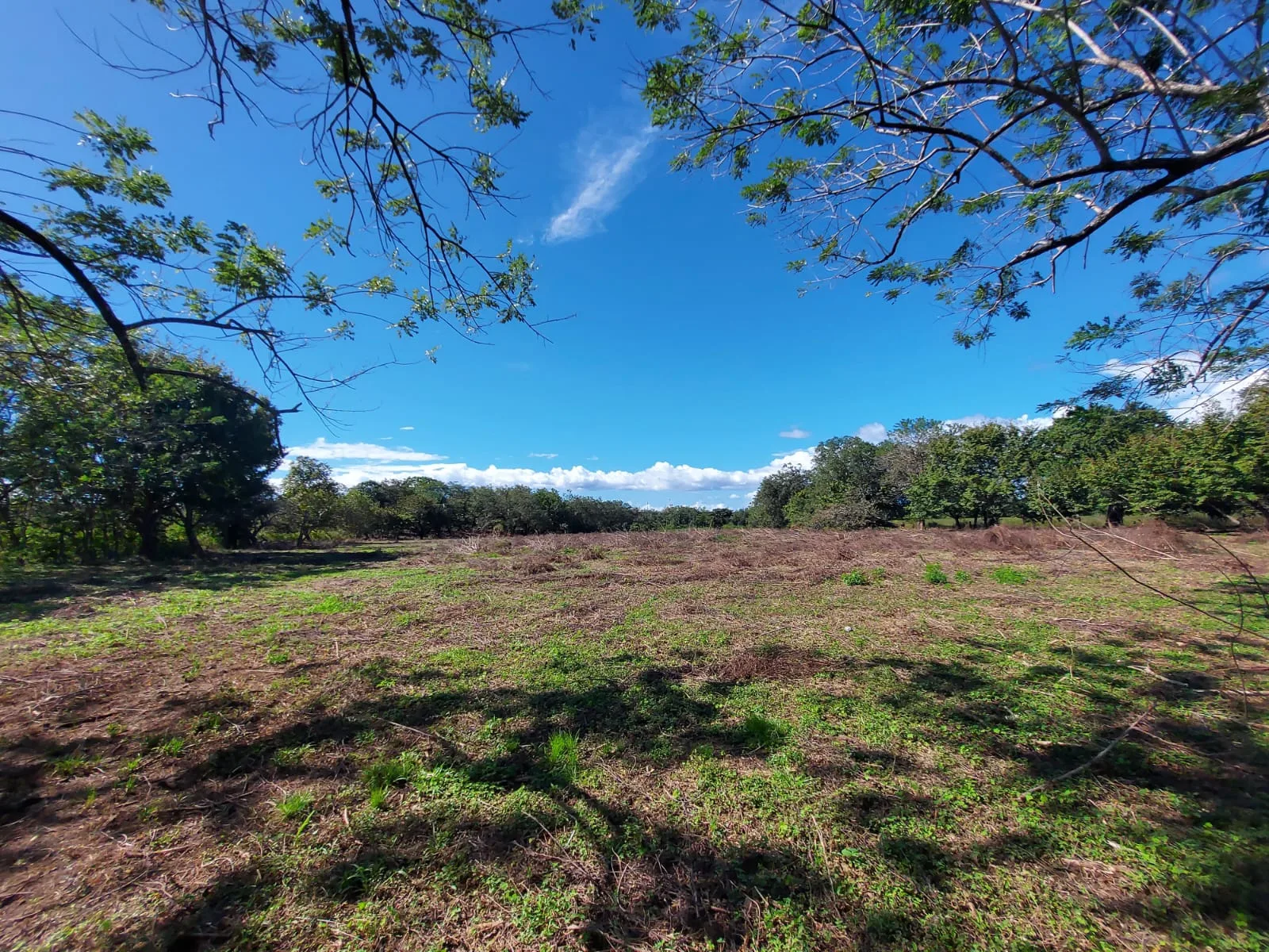 Terreno en la Ponderosa