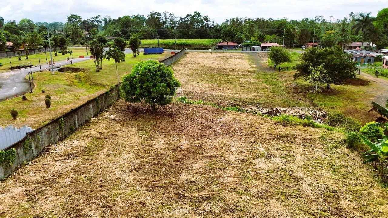 Terreno en Pococí Limón