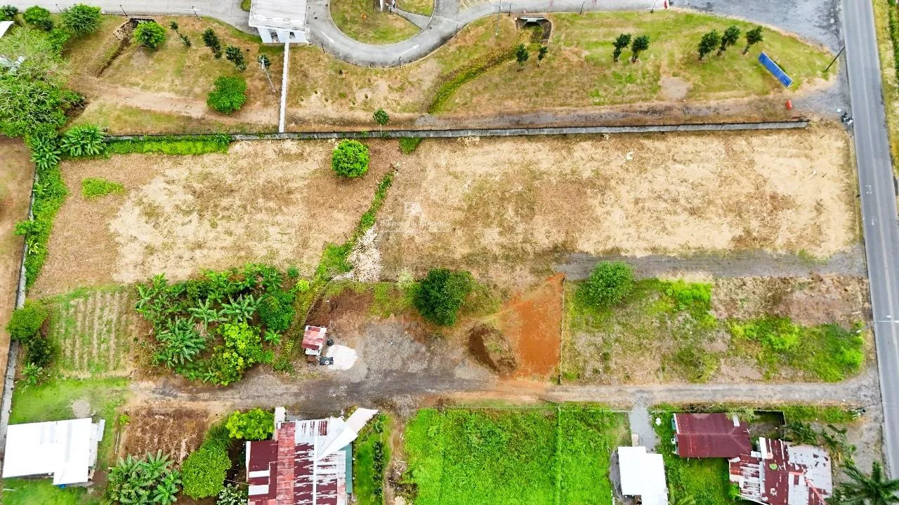Terreno en Pococí Limón