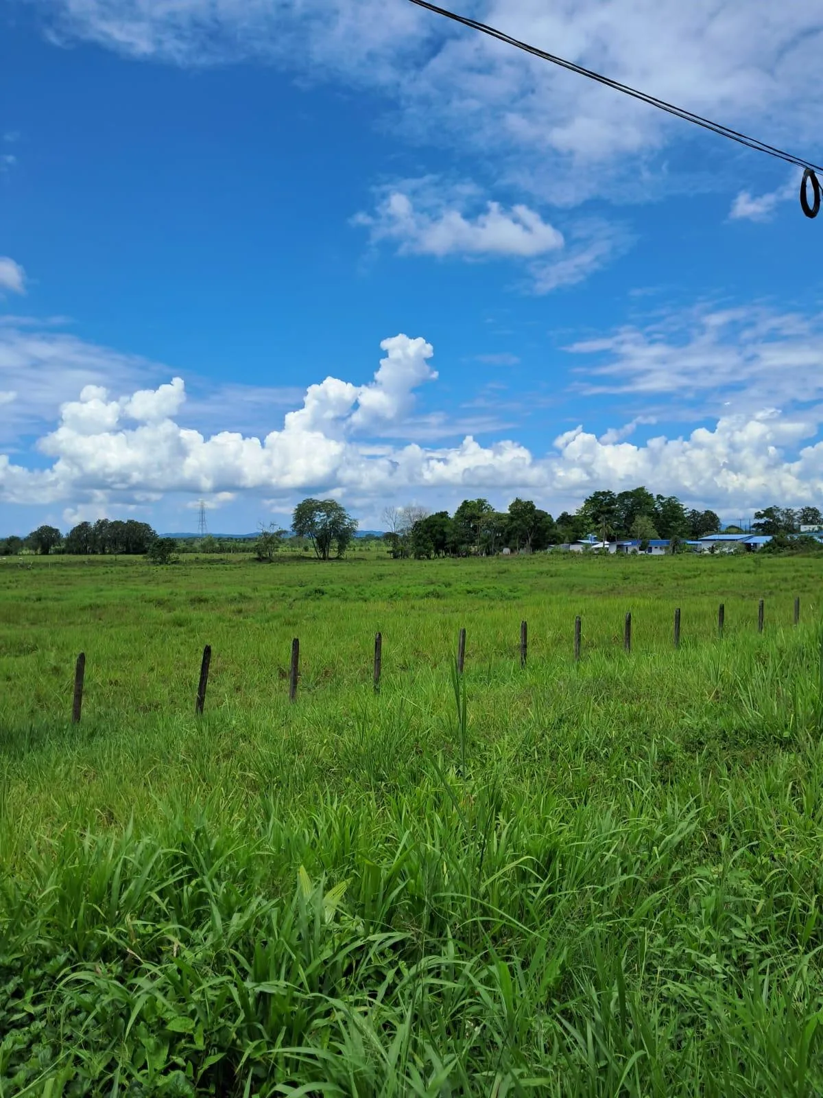 Terreno en Puntarenas Ciudad Neily