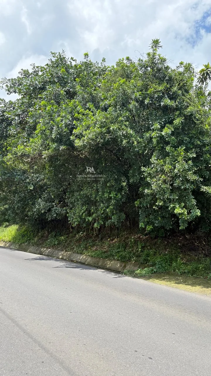 Terreno en Santa Bárbara Heredia