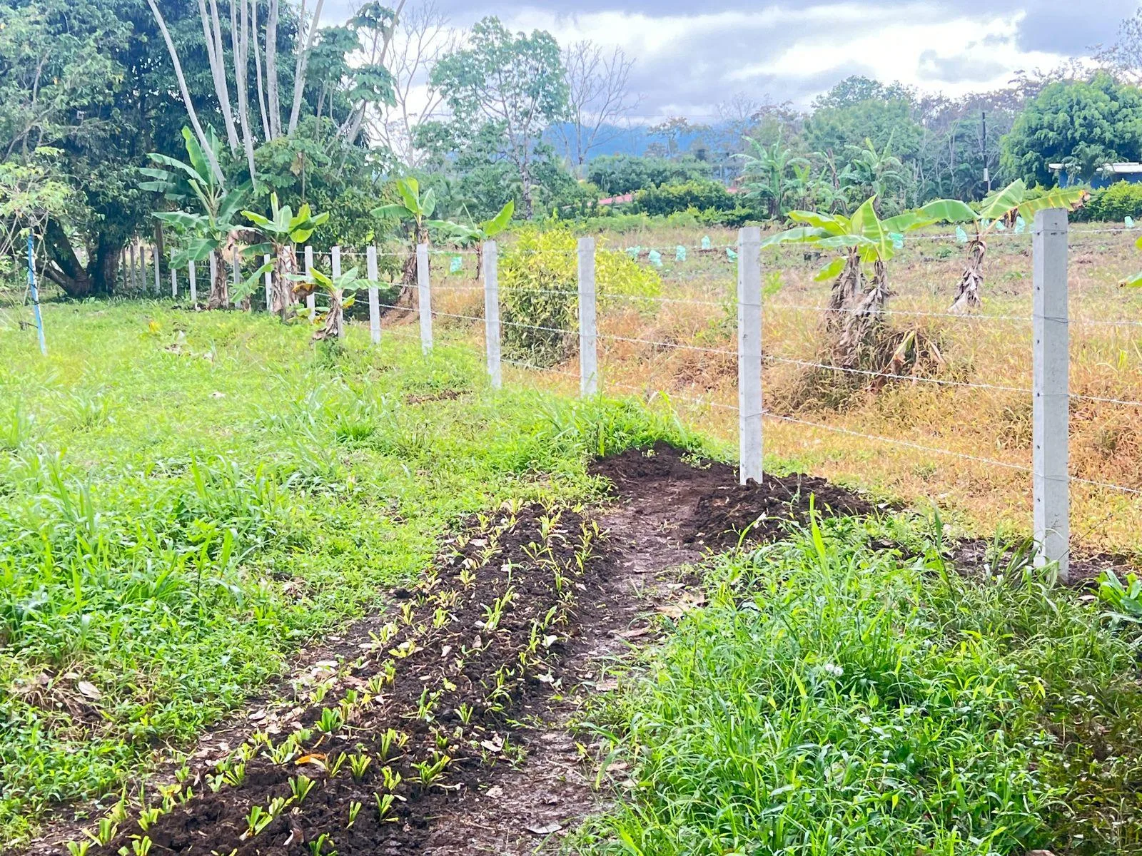 Terreno y bodega en la Tigra de San Carlos