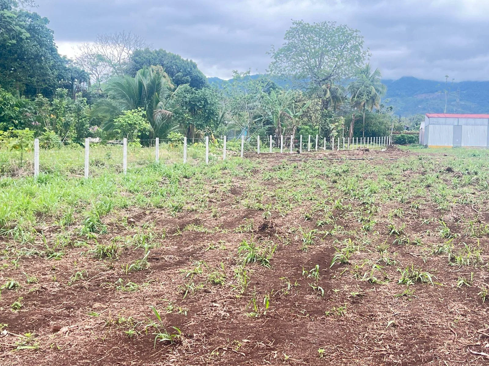 Terreno y bodega en la Tigra de San Carlos