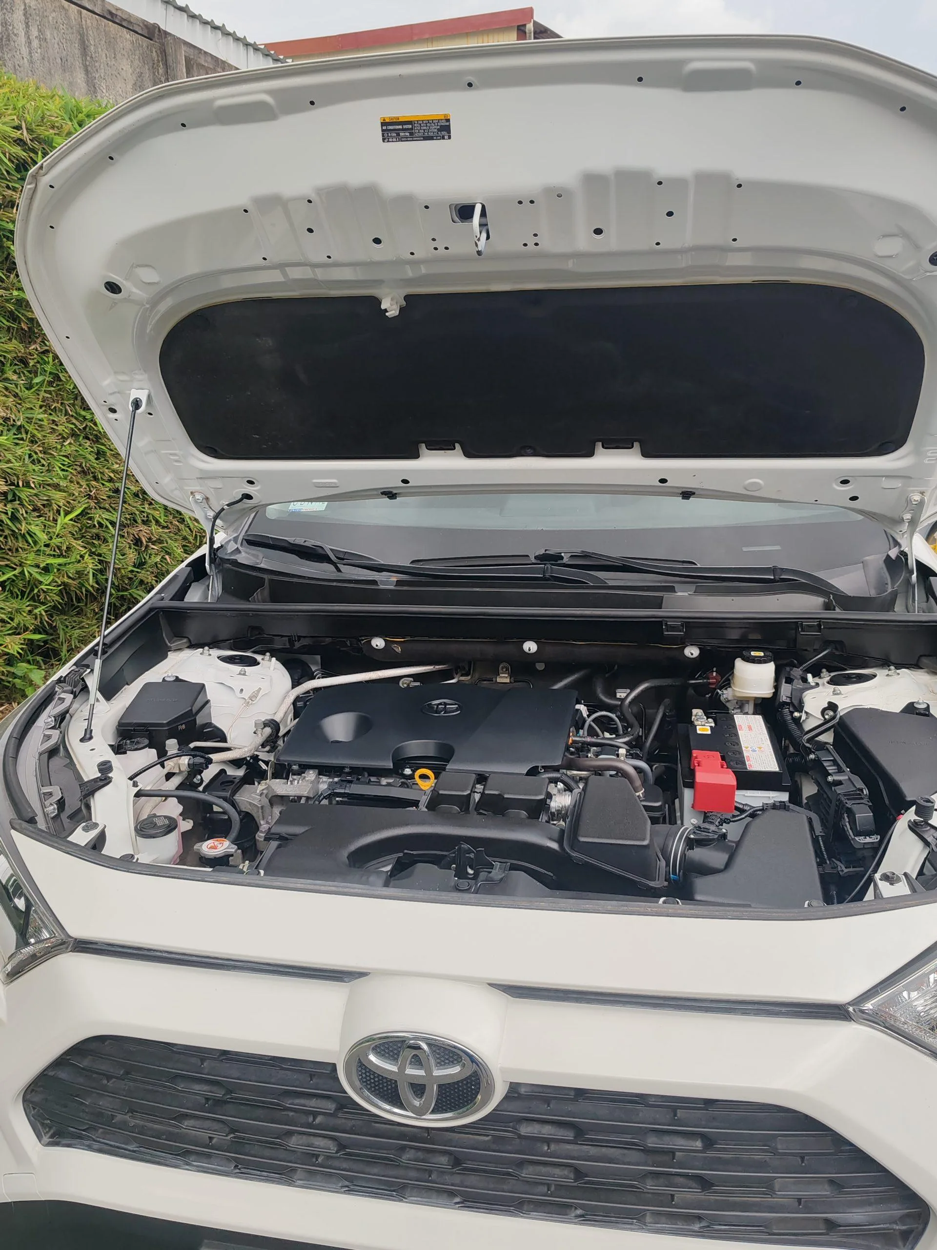 TOYOTA RAV4 LE 2024