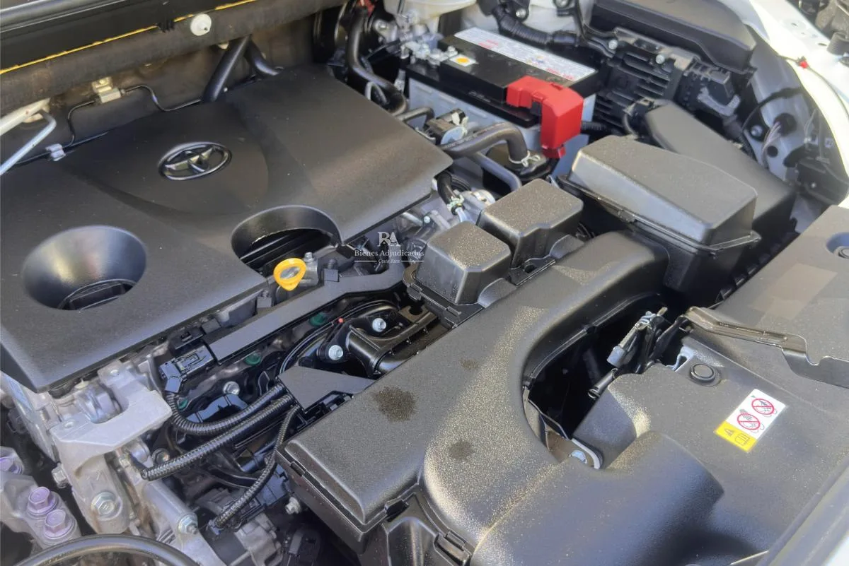 TOYOTA RAV4 LE 2024