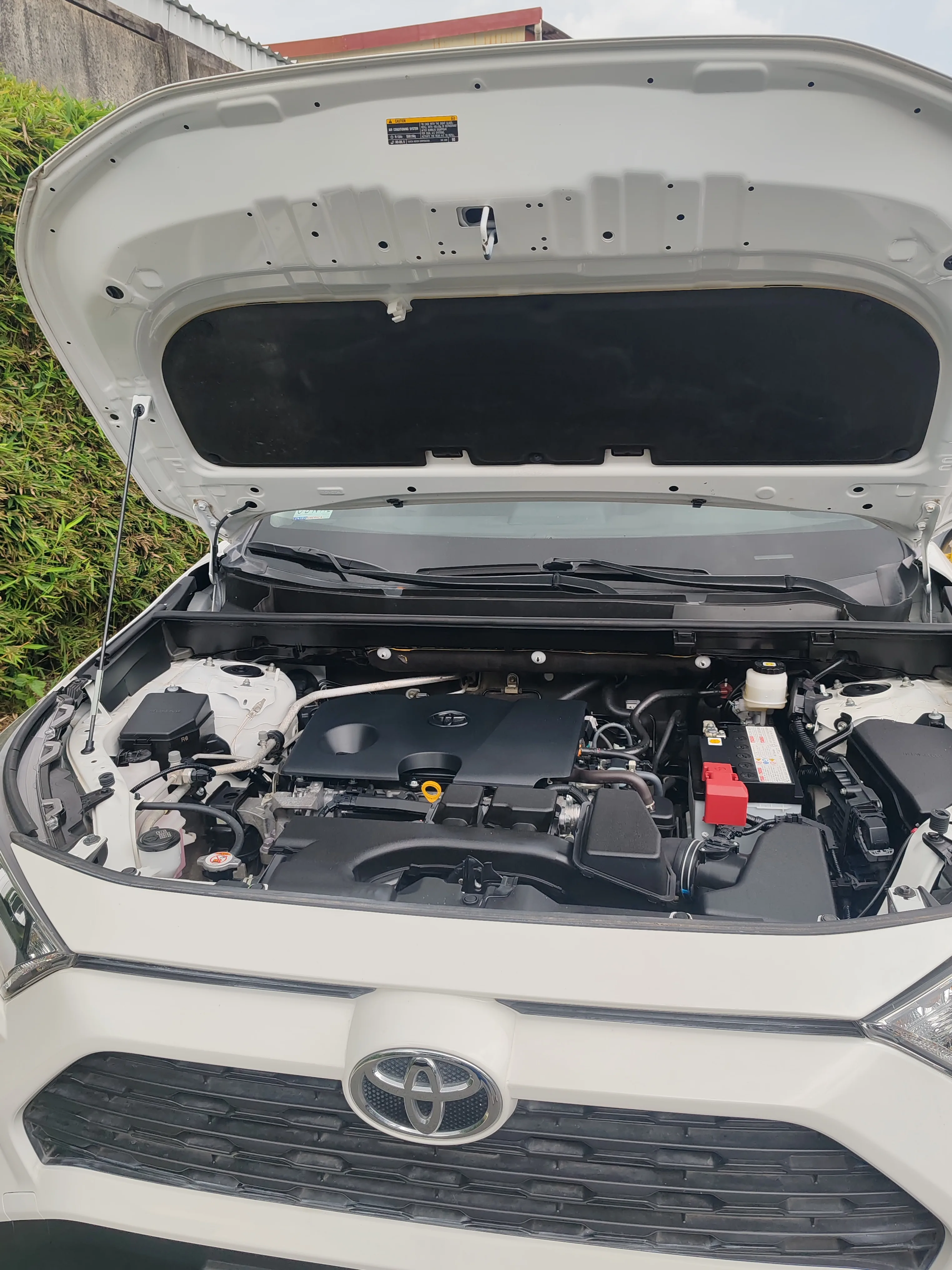 TOYOTA RAV4 LE 2024
