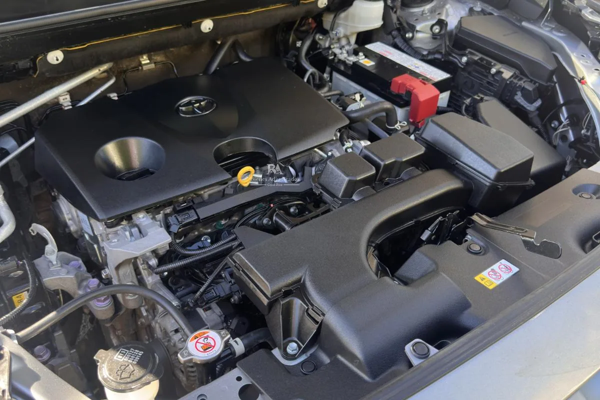 TOYOTA RAV4 XLE 2024